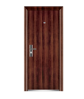 Minimalist series steel front door